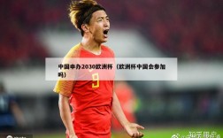 中国申办2030欧洲杯（欧洲杯中国会参加吗）